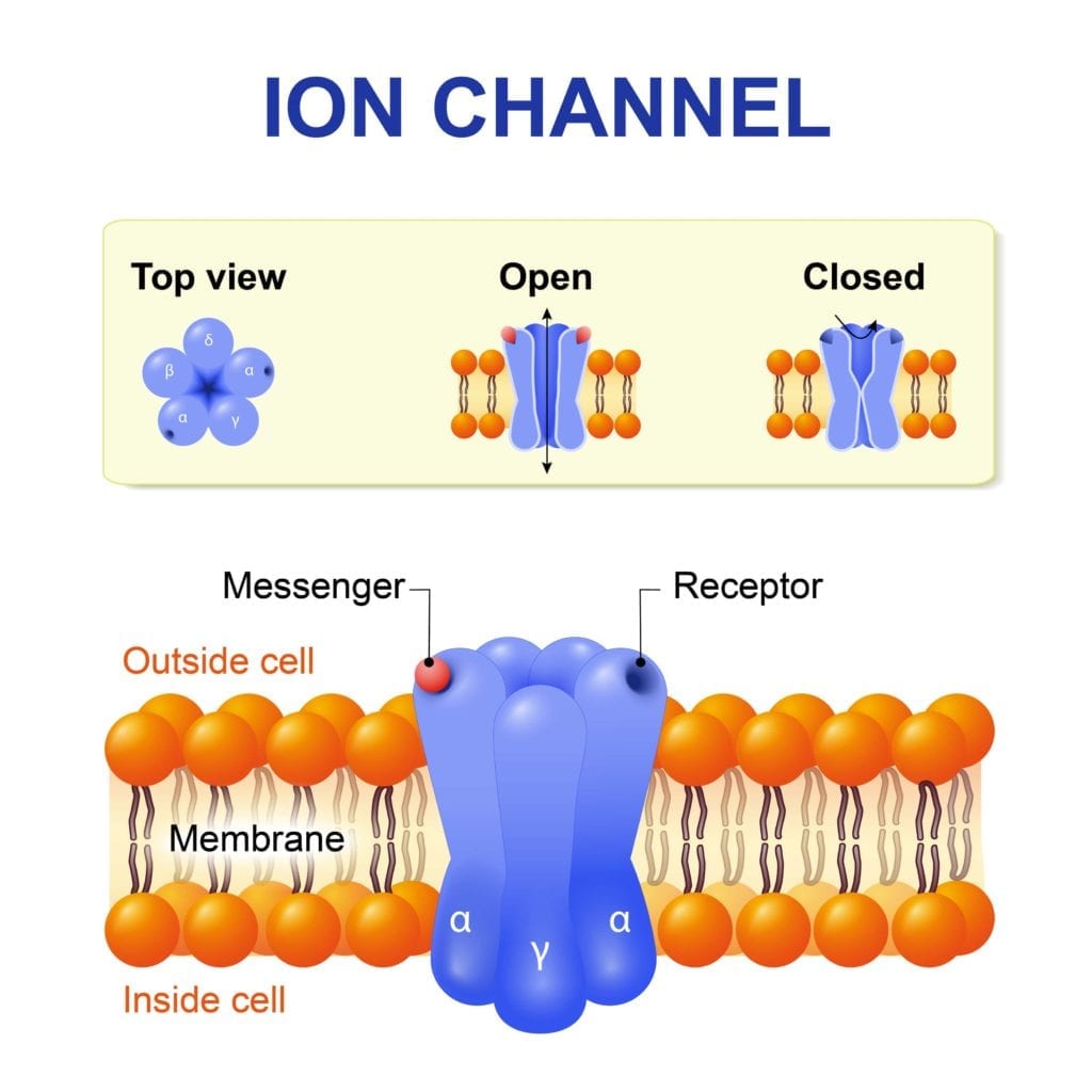 ion channel