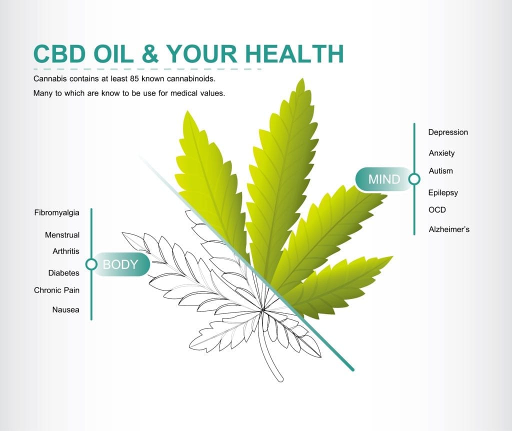CBD oil and your health infographic