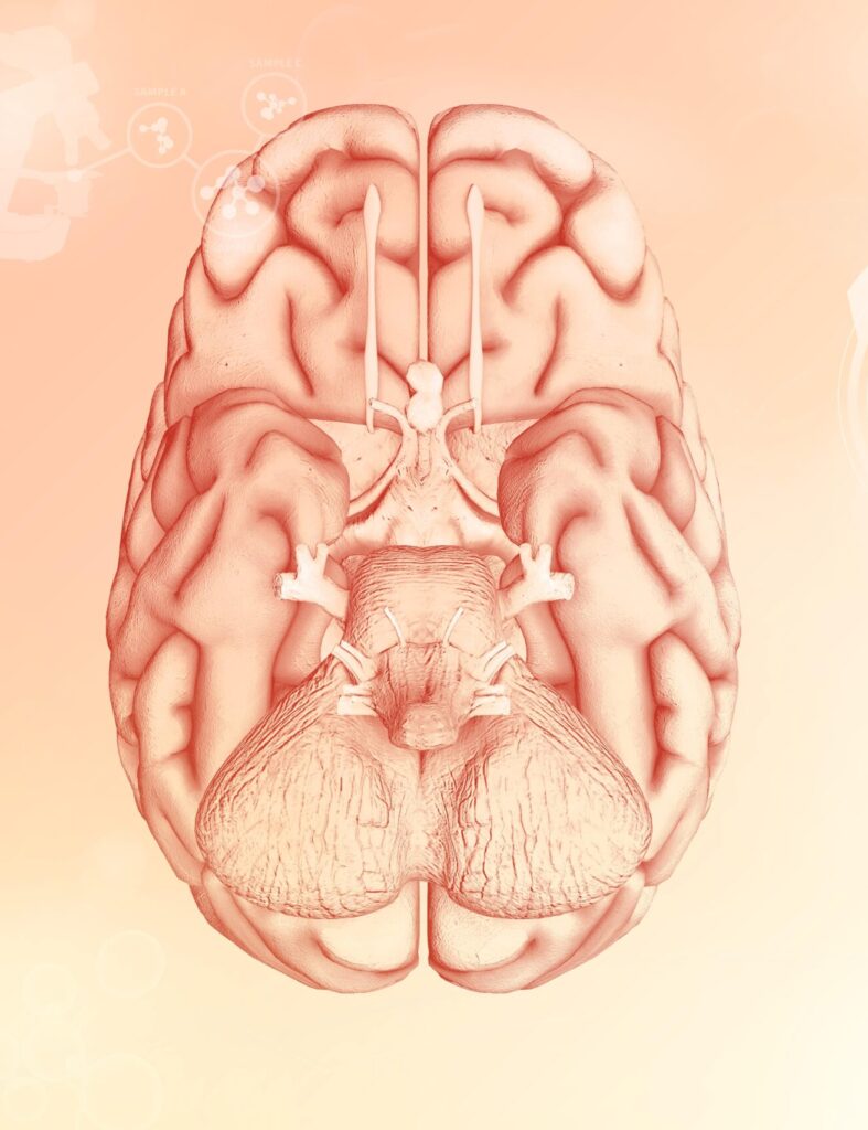 Human brain, nervous research concept - highly detailed electronic texture, medical 3D illustration