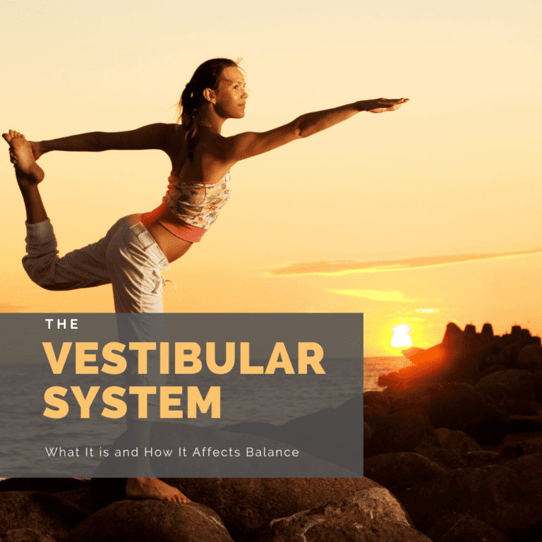 The vestibular system