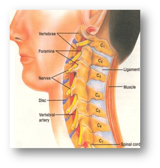 top-9-can-lumbar-radiculopathy-be-cured-2022