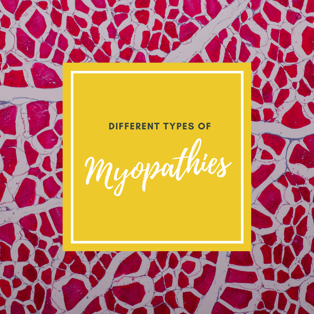 Different types of myopathies