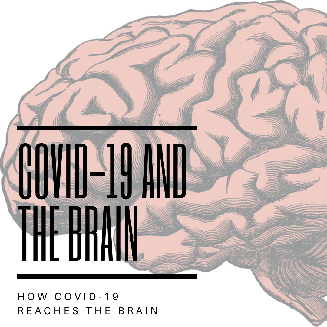 Covid-19 and the Brain