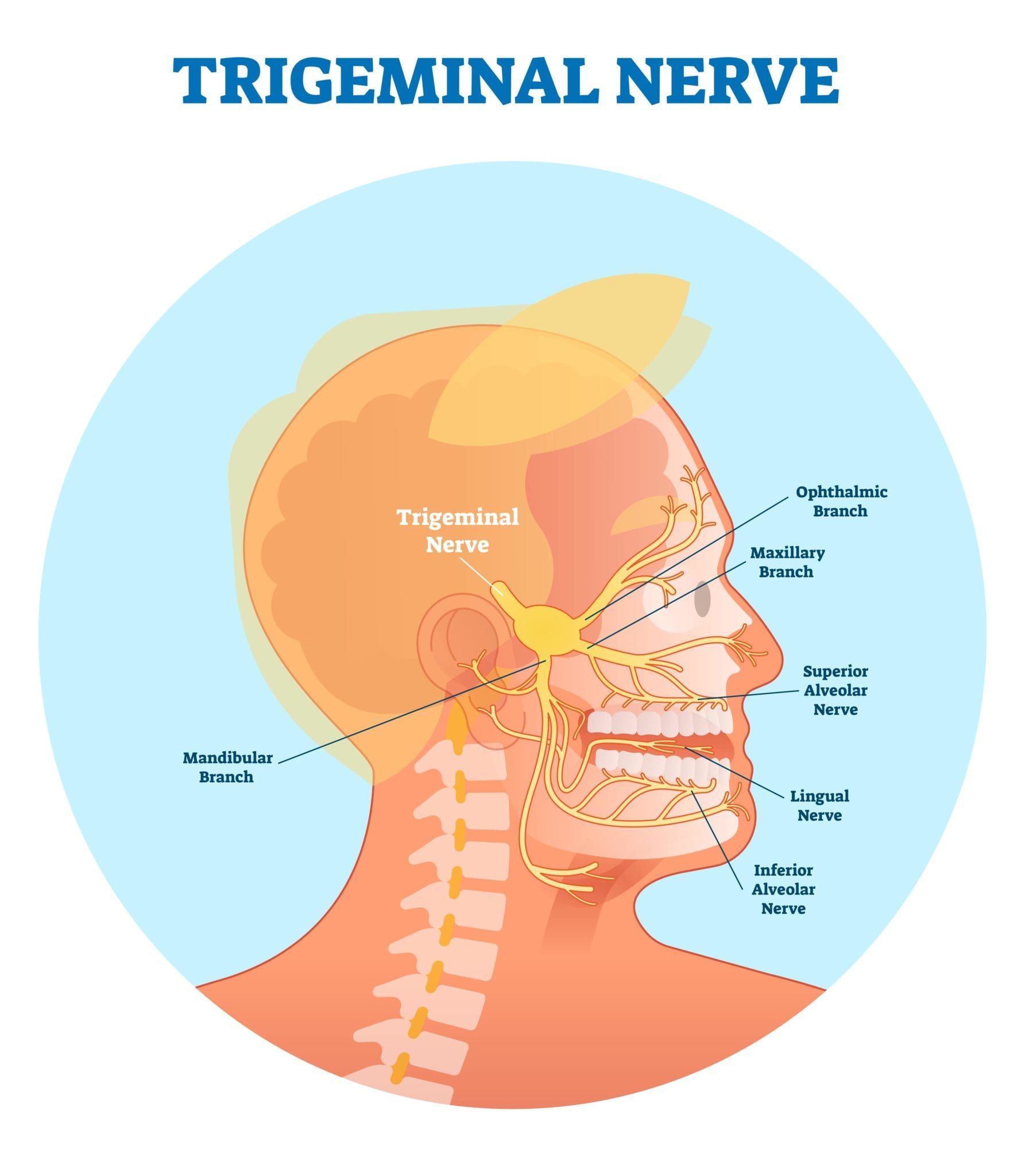 trigeminal-neuralgia-what-is-it-causes-signs-symptoms-and-more