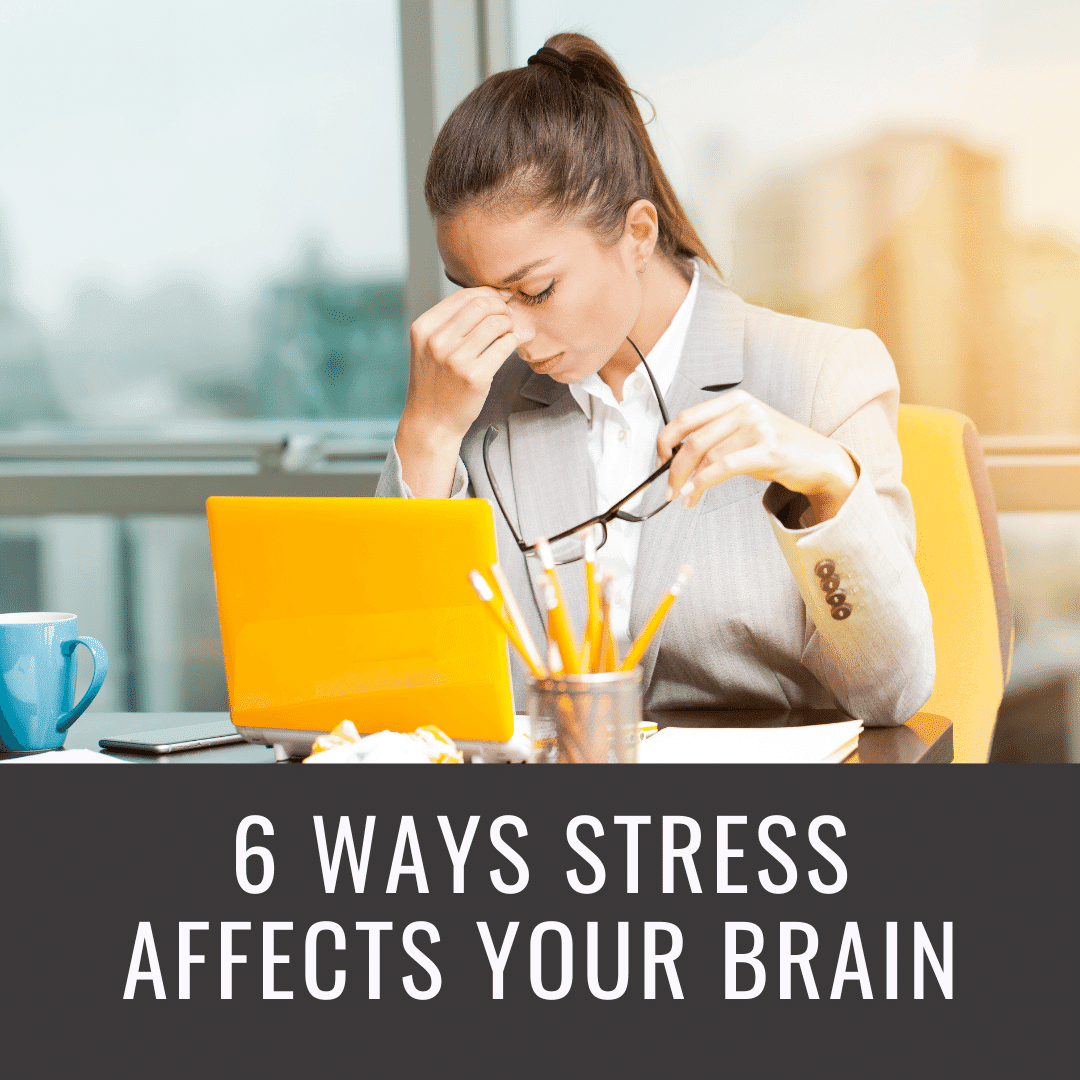 Where Does Stress Occur In The Brain