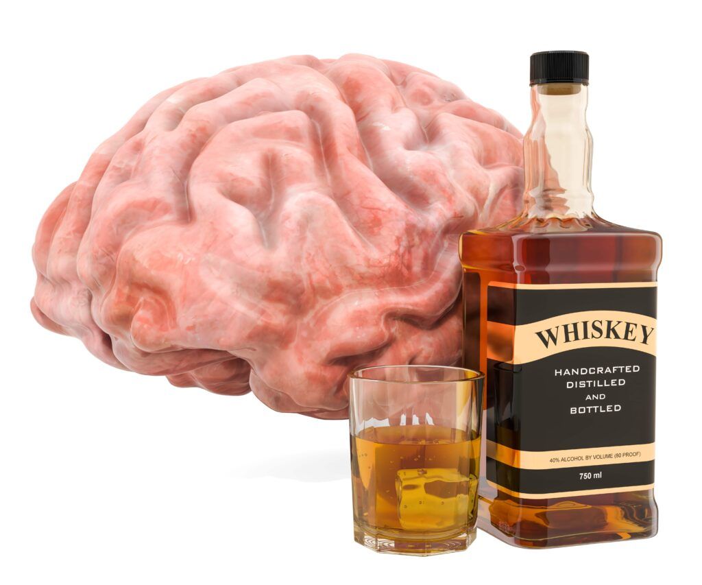 giant model brain beside a glass and bottle of whiskey