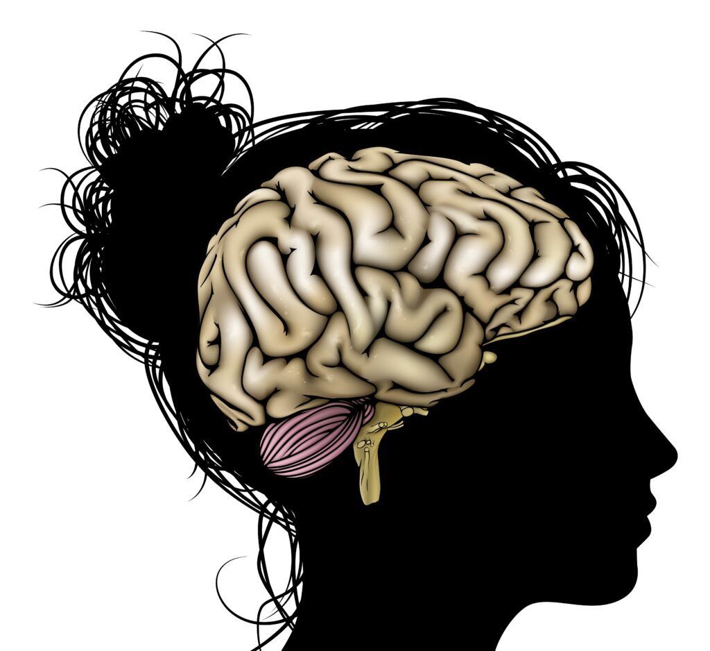 silhouette of a female with a colored brain