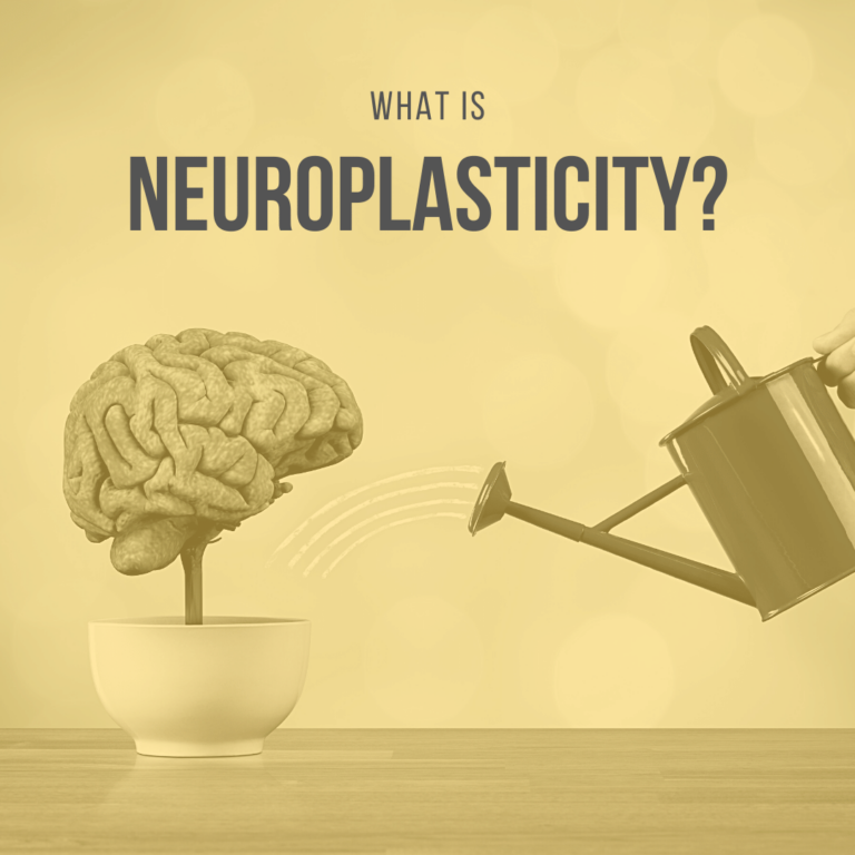 What is neuroplasticity
