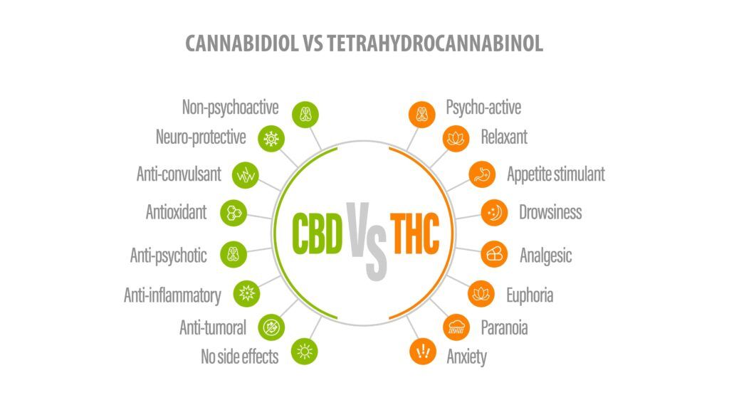 CBD vs THC, list of differences with icons. White banner with comparison CBD and THC.
