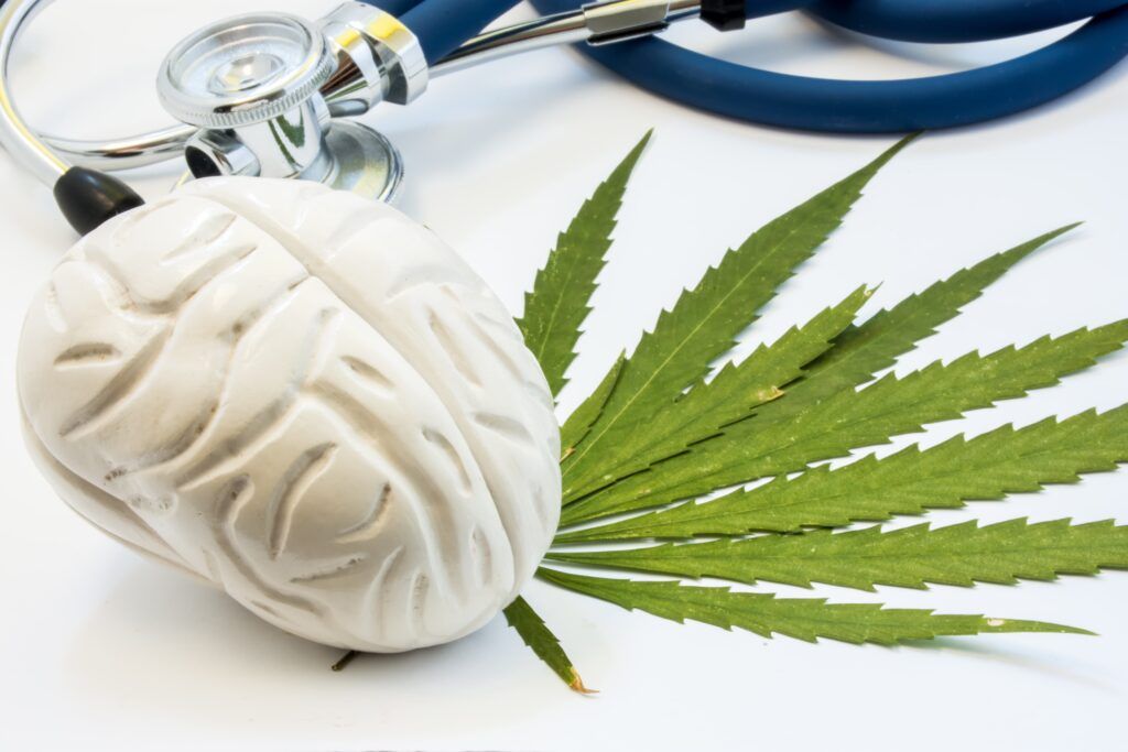 Cannabis, marijuana or weed and brain. Influence (positive and negative) of smoking marijuana on human brain, nervous system, mental activity and functions, cognitive functioning, development