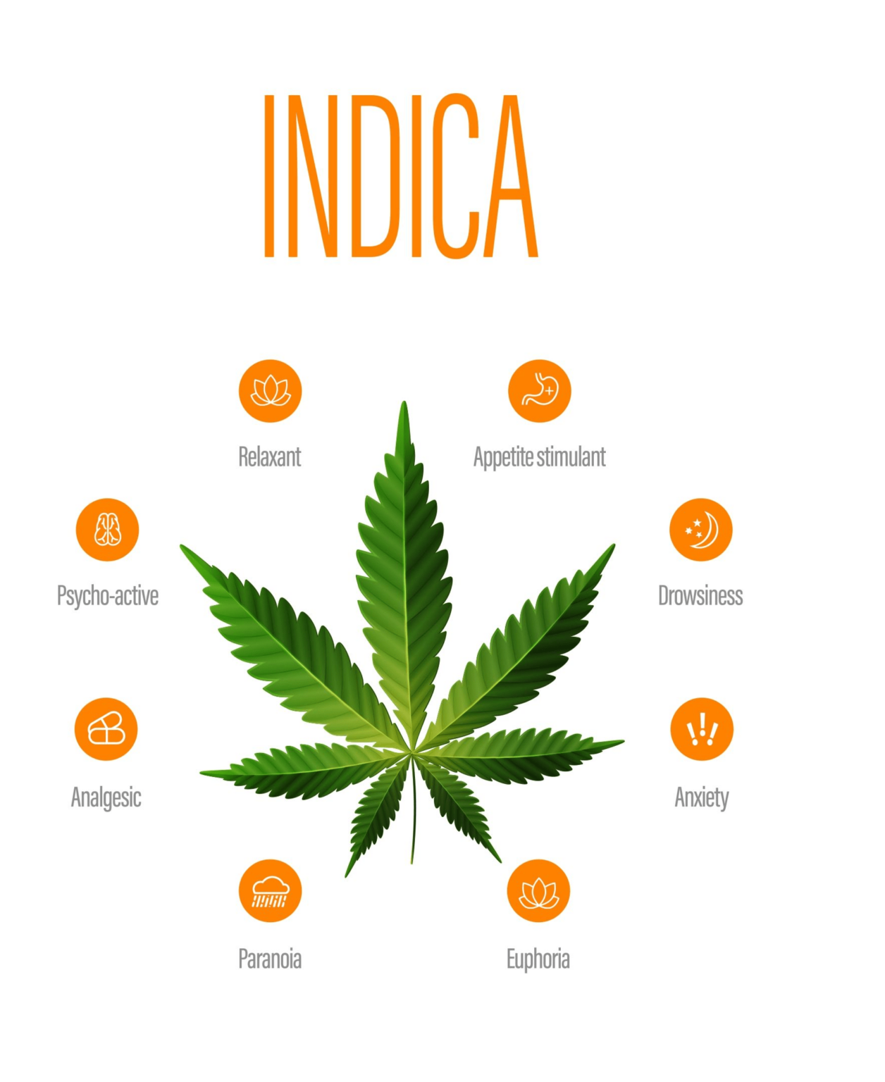 Understanding Different Types Of Medical Cannabis Premier Neurology And Wellness Center 5599