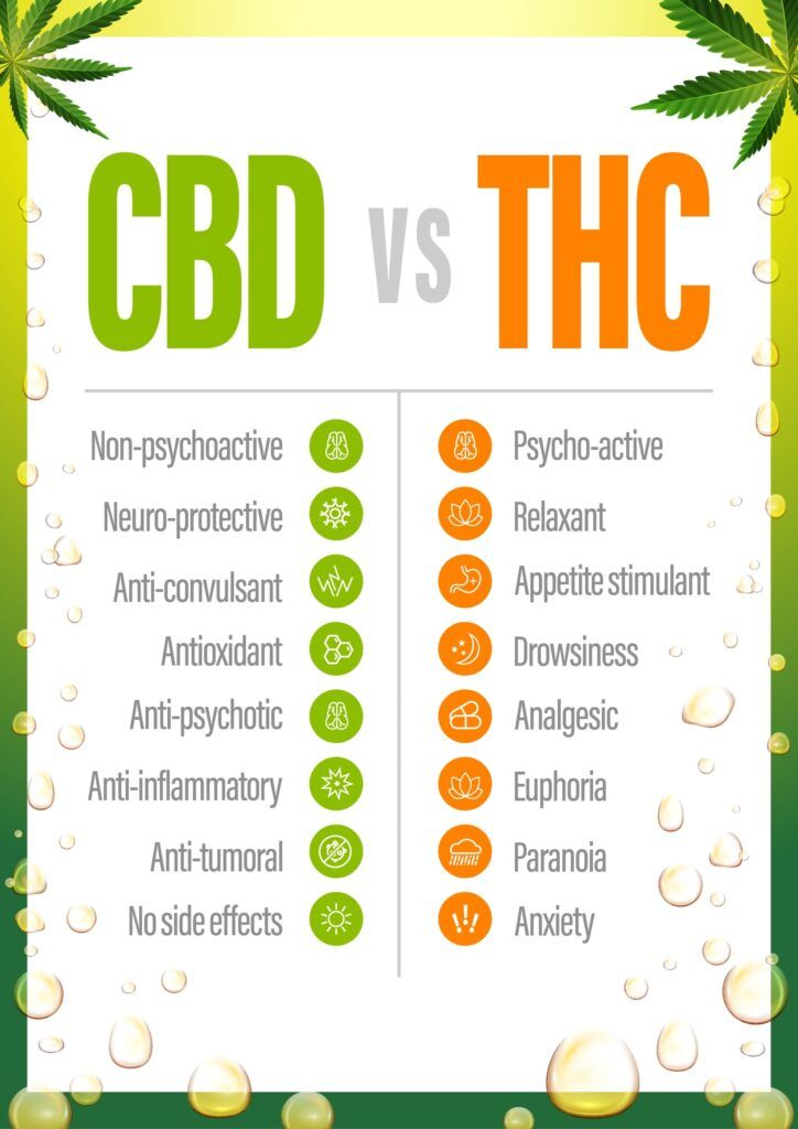 CBD vs THC, poster with comparison CBD and THC, list of differences with icons.