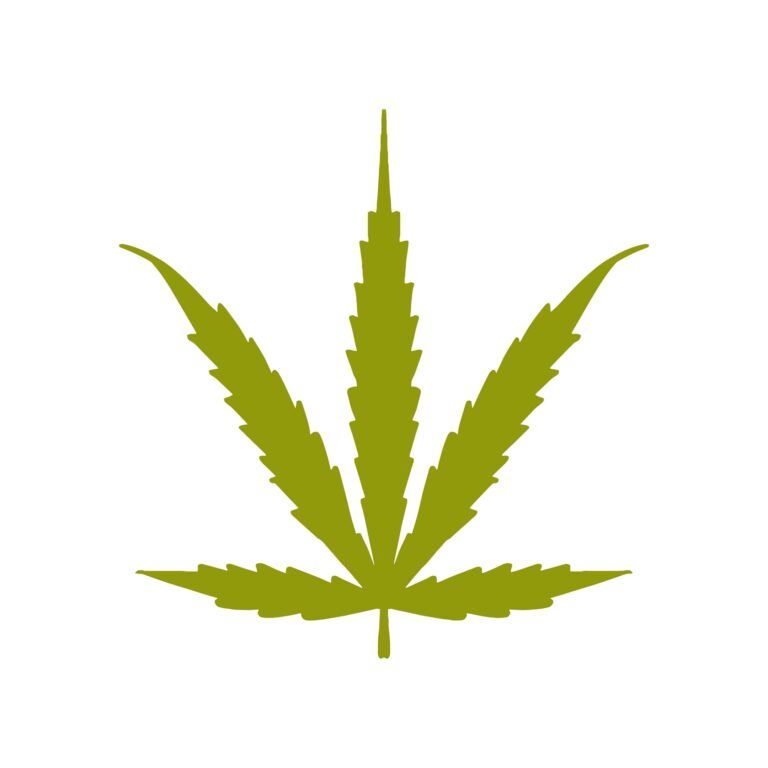 cannabis ruderalis leaf