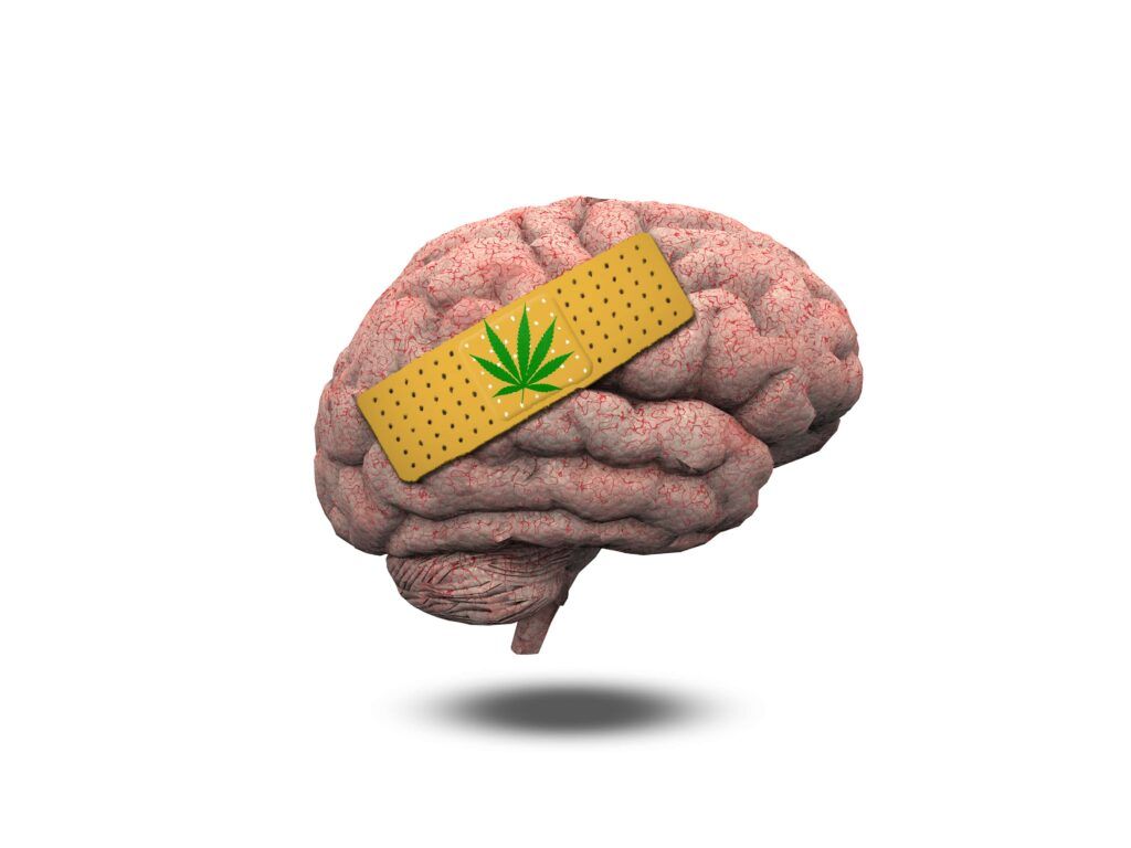 brain with a band-aid that has a cannabis leaf on it
