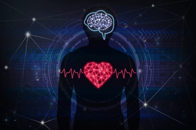 Silhouette of human body with technology line and dot of polygonal shape brain and heart over the Technology connection background, Science healthy and physician education concept