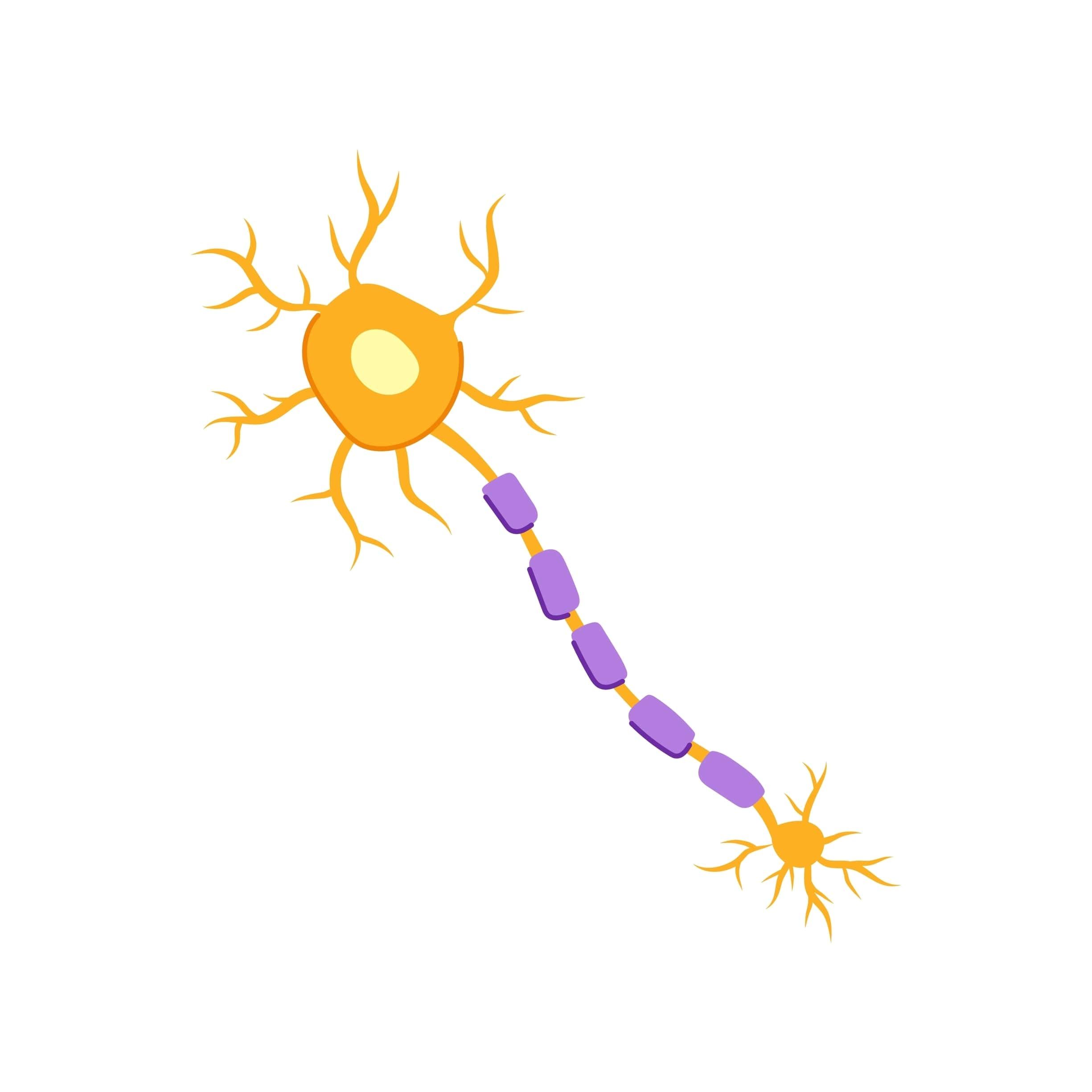 cell neurons cartoon. ai synapse, neural structure, neuro human cell neurons sign. isolated symbol vector illustration