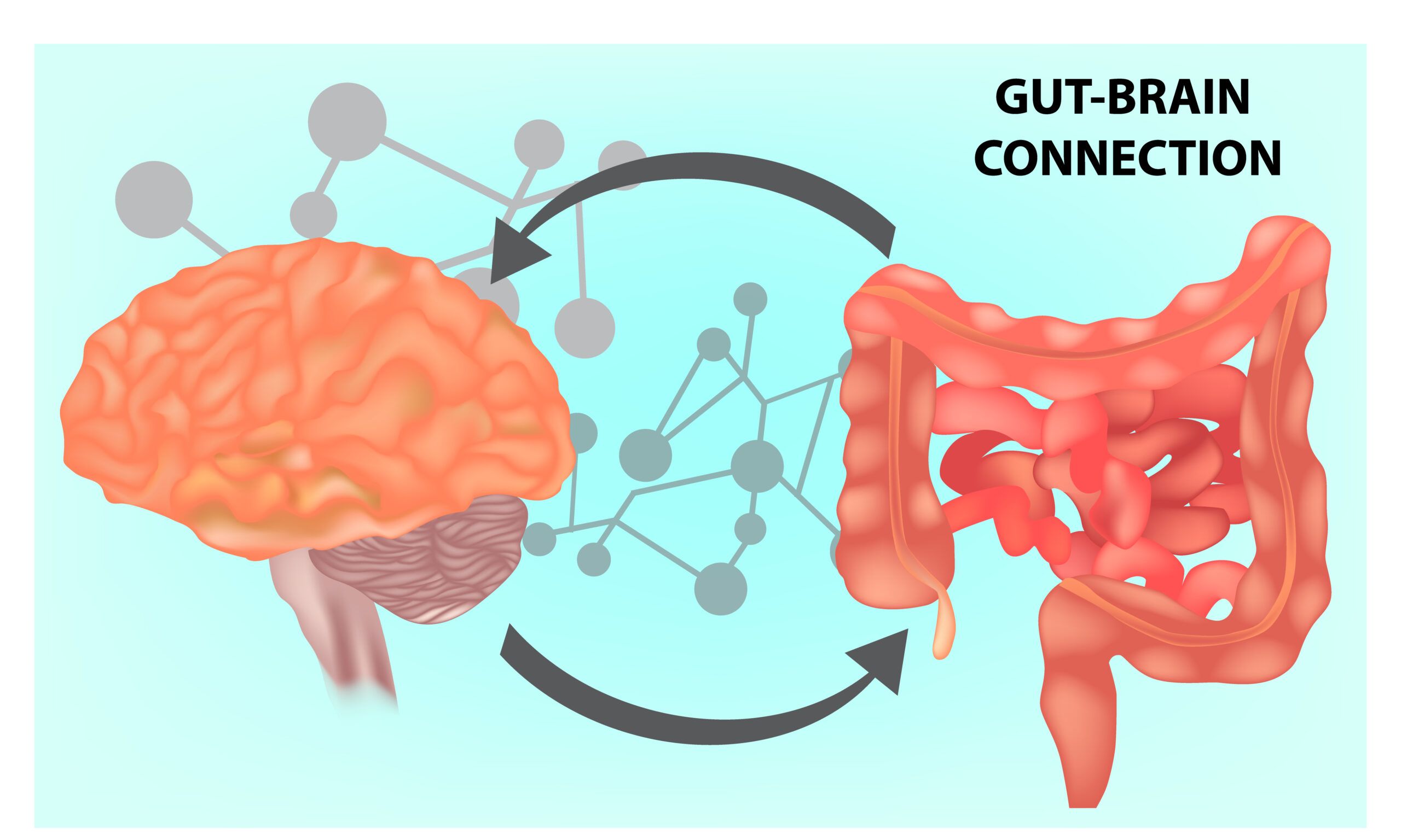 The Connection Between Gut Health and Neurological Disorders